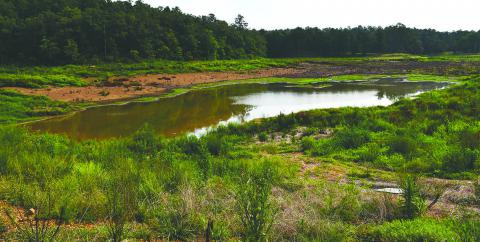 The Marion County Lake is shown on Thursday, Aug. 21. Although the lake had to be drained for work on the dam to be done, some amount of water still remains and will be removed by the contractor.