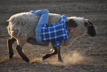 Train a young bull rider in the way he should go...” This muttin’ bustin’ rider from 2023 appears to have a knack for the sport.